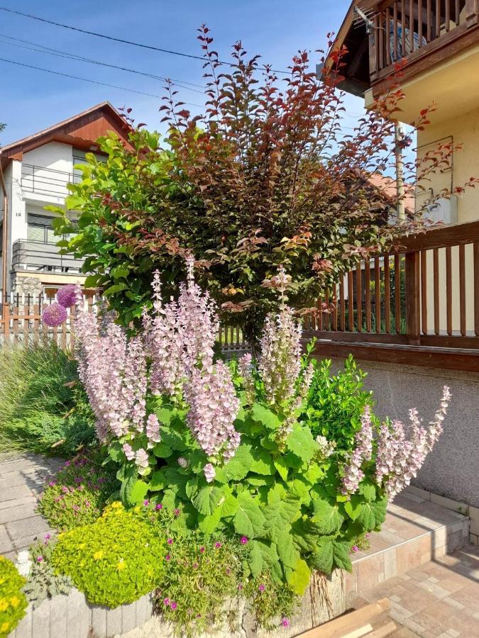Harmonia Vendeghaz 100 Meterre Az Igali Gyogyfuerdotol Daire Dış mekan fotoğraf