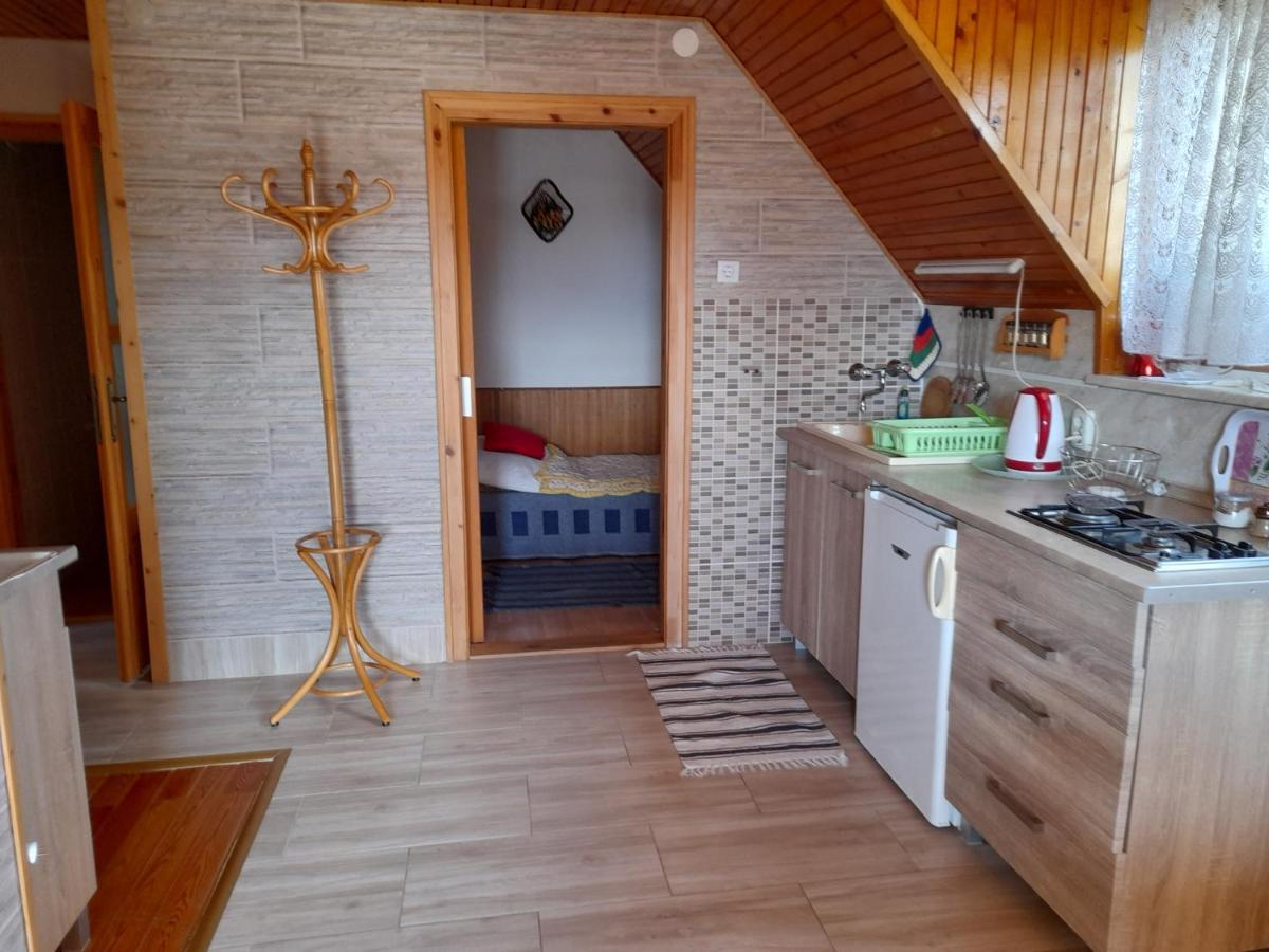 Harmonia Vendeghaz 100 Meterre Az Igali Gyogyfuerdotol Daire Dış mekan fotoğraf