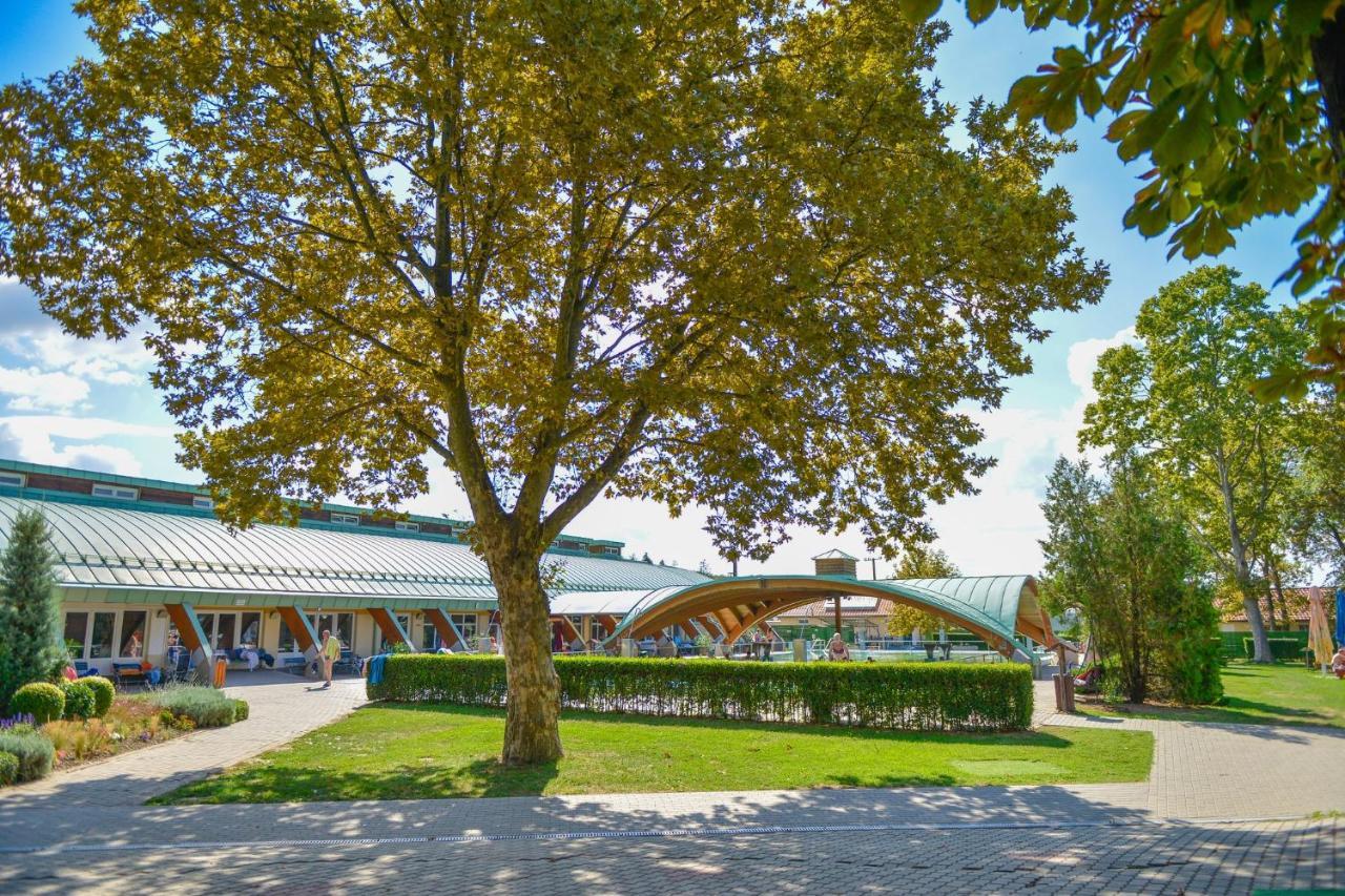 Harmonia Vendeghaz 100 Meterre Az Igali Gyogyfuerdotol Daire Dış mekan fotoğraf