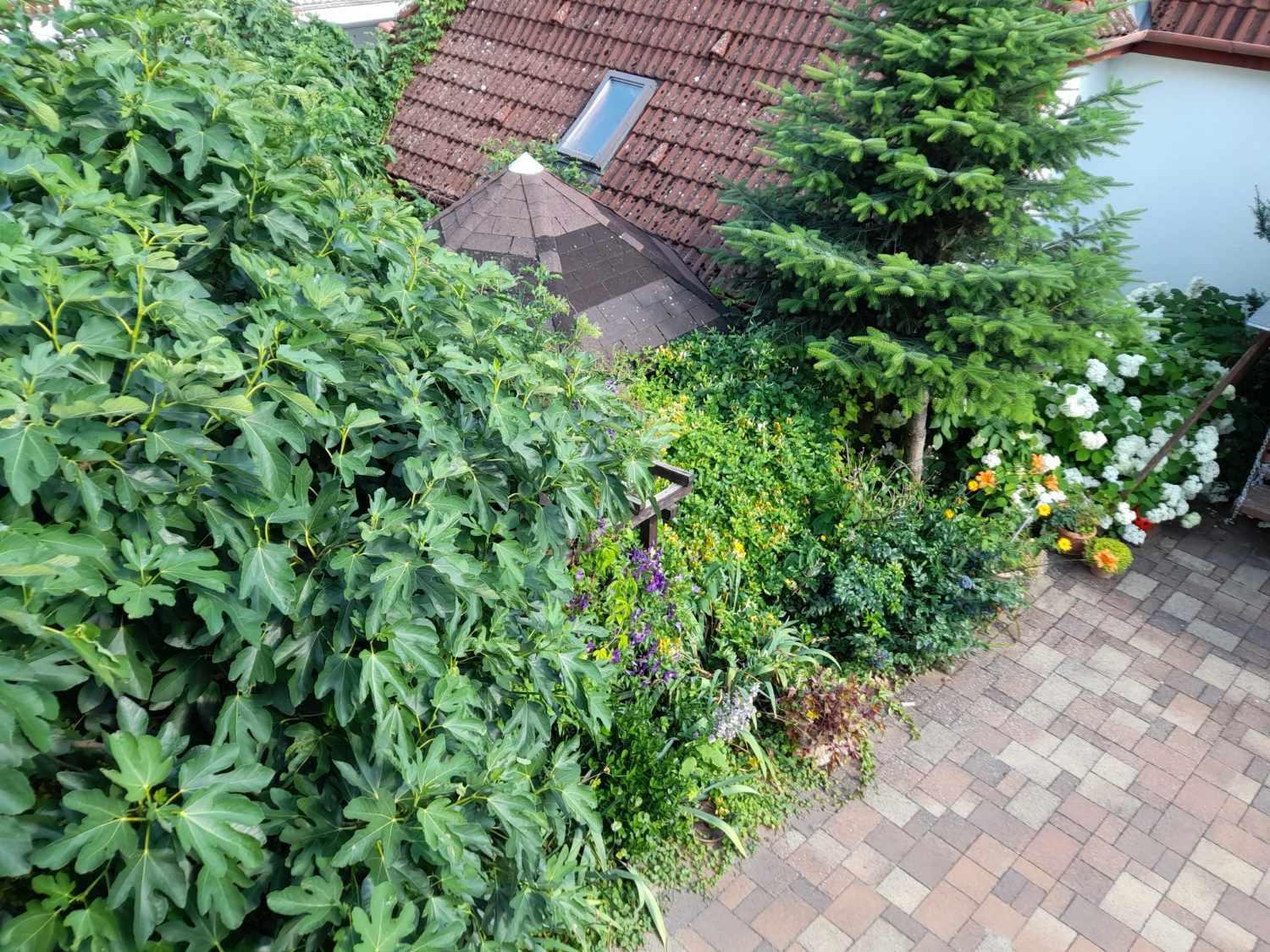 Harmonia Vendeghaz 100 Meterre Az Igali Gyogyfuerdotol Daire Dış mekan fotoğraf